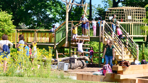 NaturePlay-DanRyan dan ryan woods nature play