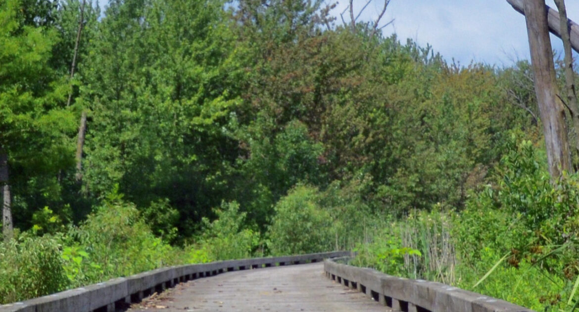 Sand Ridge Nature Center