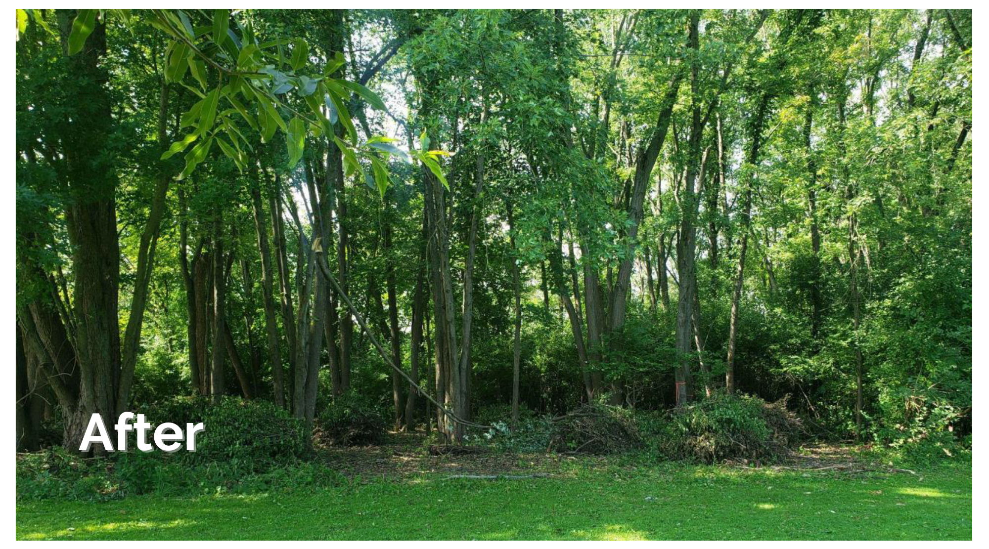 Untitled (11 x 5 in) (9 x 5 in) Untitled (11 x 5 in) (9 x 5 in)